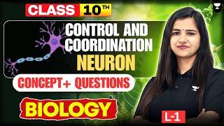 Class 10 Biology | Control and Coordination: Neuron ( Concept + Questions ) CBSE 2025-26