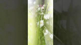 Дом для счастливой жизни. Фасад - сайдинг