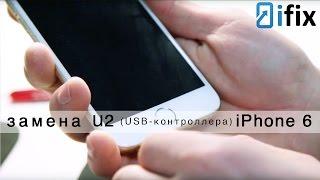 iPhone 6 не включается/не заряжается | iPhone 6 doesn't turn on/charge | СЦ iFix