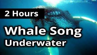 SOUNDS of WHALE SONG for 2 Hours - For Meditation, Concentration, Relaxation and Sleep.