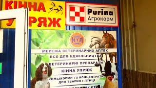 РЫНОК КОМБИКОРМА их вечная проблема! г.Первомайск Николаевская область Украина.