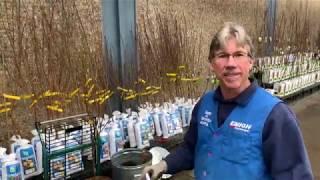 Complete Guide to Bare Root Fruit Tree Selection and Planting