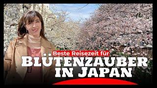 Kirschblüte Japan: Tipps für den Urlaub in Japan und Tokyo