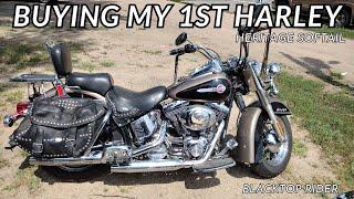 Buying My First Harley