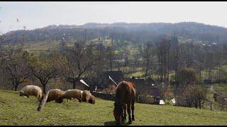 The most beautiful place on earth! Maramures Carpathian Mountains paradise