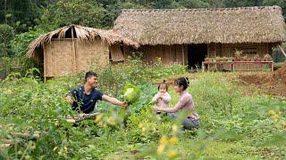 Happy Life of Difficult Mountain Family, Gardening & Harvesting, Cooking Traditional Village Dishes