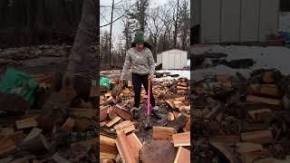 Windy Wood Splitting - Red Oak v. Fiskars 8lbs Maul #firewood #outdoors #diy #diywood