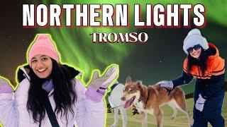 We Saw Northern lights in Tromsø, The Arctic City | 4 days in Tromsø, Norway | Things to do & more!