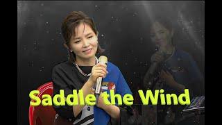 나미애 - 바람에 실려(하남석) Saddle the Wind (Lou Christie)