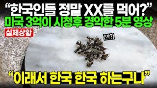 “한국인들 정말 XX를 먹어?” 미국 3억이 시청후 경악한 5분 영상