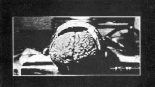 M.B. - Maurizio Bianchi - Neuro Habitat- 1982