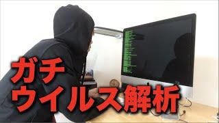 【ホワイトハッカー】メールで送られてきた本物のウイルスを解析してみた結果...