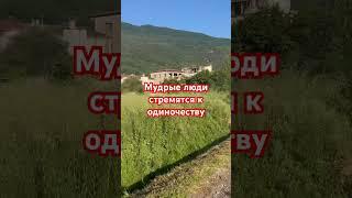 Мысли в слух #мысливслух #мысли #мудрость #