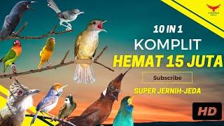 INI BEDA‼️ SEMUA Ada DISINI️HEMAT 15 JUTA (Kompilasi Masteran)