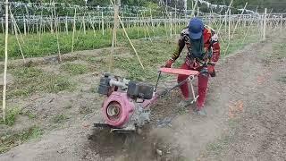 Subrang linis napo mga ka farmers at viewers kahit paman hand tractor lang ang gamit namin 