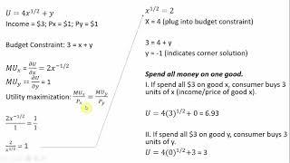 Utility Maximization: A Corner Solution