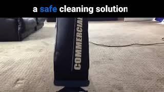 Reviving Carpet - Truckmount Cleaning