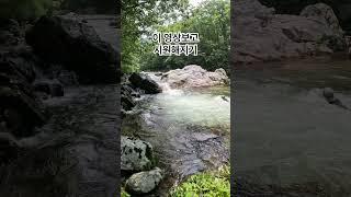 시원해지는 영상 #강원도계곡 #아침가리계곡트레킹 #아침가리계곡 #여름휴가