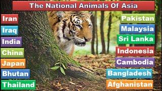 National Animals of All Asian Countries | List of Asian Countries