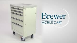 Brewer Mobile Medical Cart