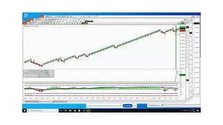Ninjatrader Renko Volume Divergence Bot Fast Profits: Skyrocket Your Account!