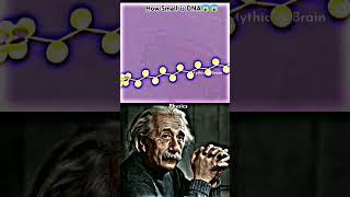 How Small is DNA #physics #trending #shorts