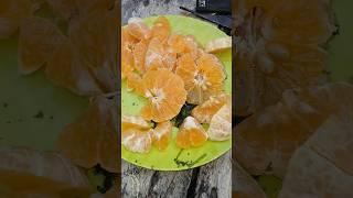 Eating Orange /Nareng Komla|| #shorts #short #shortsfeed #yummy #fresh #orange #trend #trending