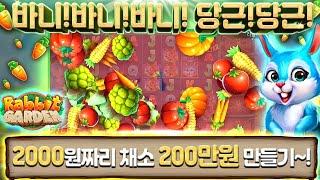 [최강슬롯] 바니!바니!바니!당근!당근! 2000원으로 200만원 만들어버리기!! #프라그마틱 #래빗가든 #그래비티보난자 #프라그마틱슬롯 #슬롯머신 #슬롯실시간 #실시간슬롯 #잭팟