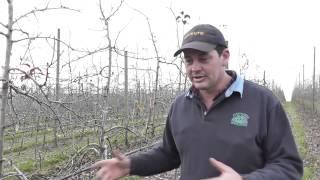 Brad Fankhauser: APAL Grower of the Year 2015