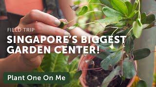 Singapore's World Farm Nursery Tour — Ep 129