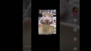 Жаль, конечно, этого добряка… #юмор #семейныйюмор
