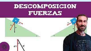 Dinámica 3 ‍️ Descomposición de Fuerzas