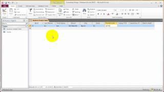 Access Chapter 1  Add Records in Datasheet View.mp4