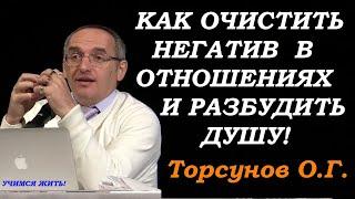 Как очистить негатив в отношениях и разбудить Душу. Учимся жить. Торсунов О.Г.