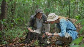 4 days camping Solo survival; catching and cooking, fishing. Bushcraft skills. shelter