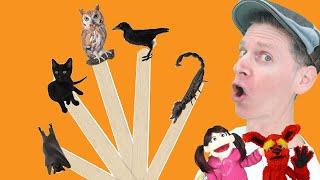 Halloween Spooky Animals | Pop Sticks Song with Matt | Dream English Kids