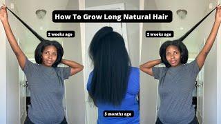 How to grow long natural hair! (UPDATE*** No longer using heat)