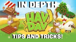 IN DEPTH HayDay Tips and Tricks! (2019)