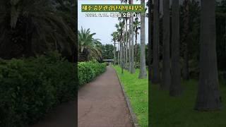 [도시숲] 제주 중문관광단지의 나무들 