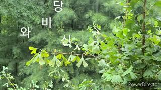 #비와당신#럼블피쉬 노래 #오카리나 이영희