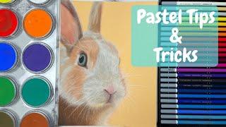 How To Draw Fur With Pastels | Pastel Pencil Demonstration