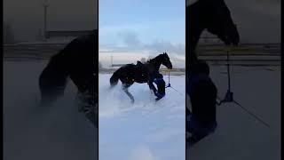 Падение с лошади. fall from a horse.