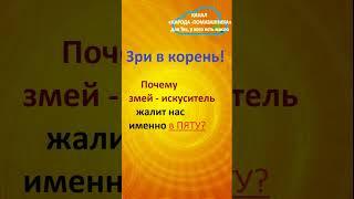 ЗРИ В КОРЕНЬ!!! Почему Змей - ИСКУСИТЕЛЬ жалит нас именно в ПЯТУ? #shorts