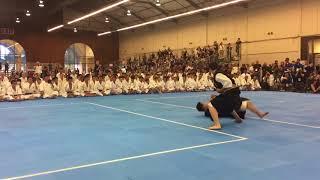 2017 Shorinji Kempo International Taikai Kumi Embu Performance