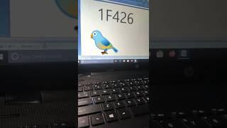 bird () drawing Ms Word shortcut key