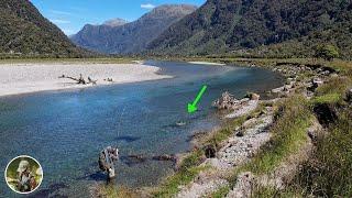 New Zealand Backcountry Fly Fishing | EP.4 | Summertime Dry Fly!