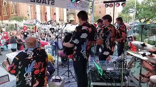 Polka Family - Young Bachelor - Roncesvalles Polish Festival - 2023