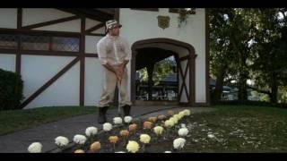 CaddyShack Cinderella Story