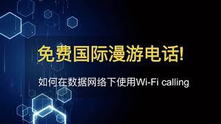 美国电话号码免费国际漫游-通过数据网络使用Wifi calling