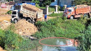 Amazing full video process bulldozer and dump trucks filling up land with soil